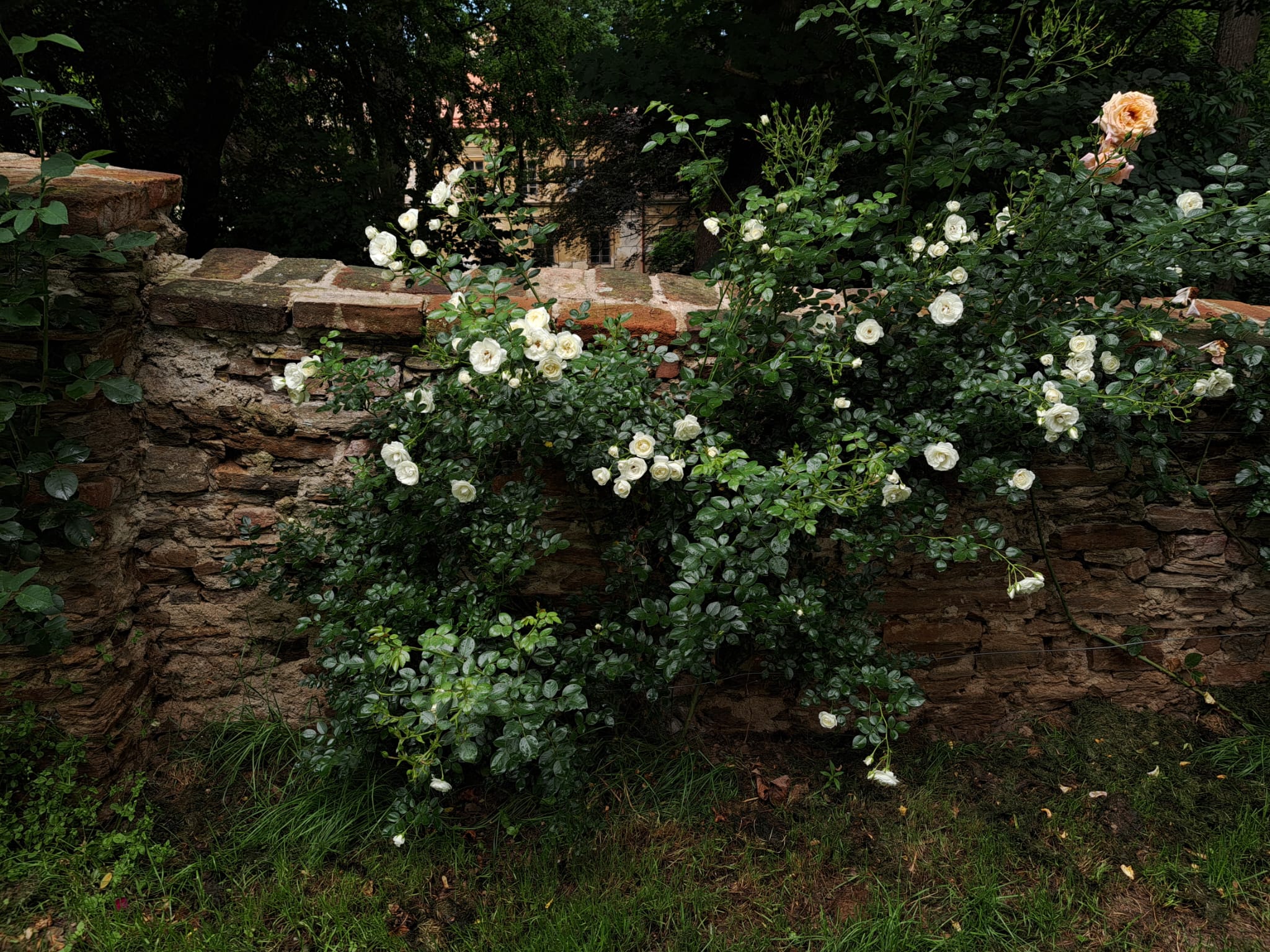 UStarehoZamku foto16